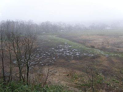 東電小屋のカメラの方向