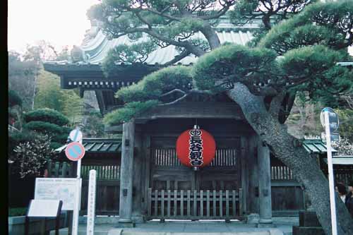 鎌倉　長谷寺