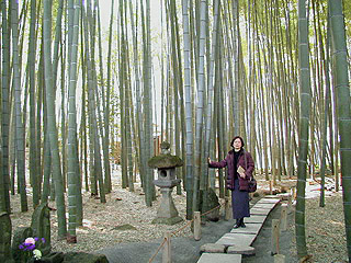鎌倉　報国寺