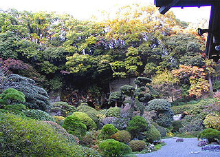 鎌倉　報国寺