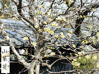 東慶寺（かけこみ寺）