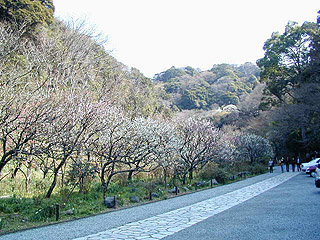 鎌倉　瑞泉寺