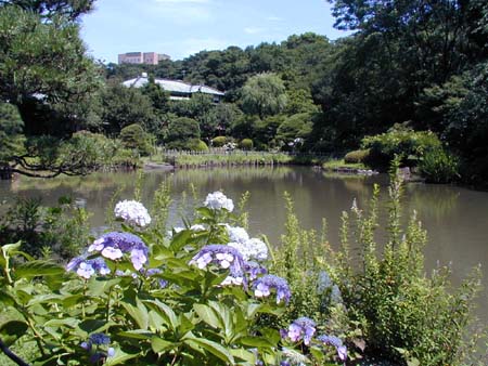 肥後細川庭園(新江戸川公園)