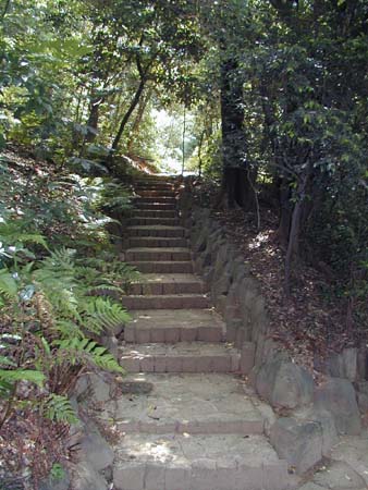 肥後細川庭園(新江戸川公園)