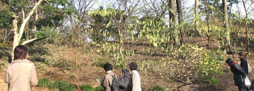 六義園