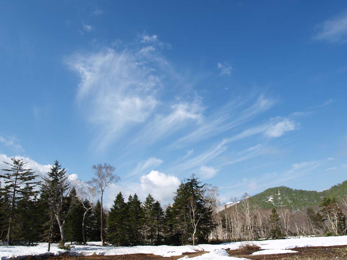 赤田代のスジ雲