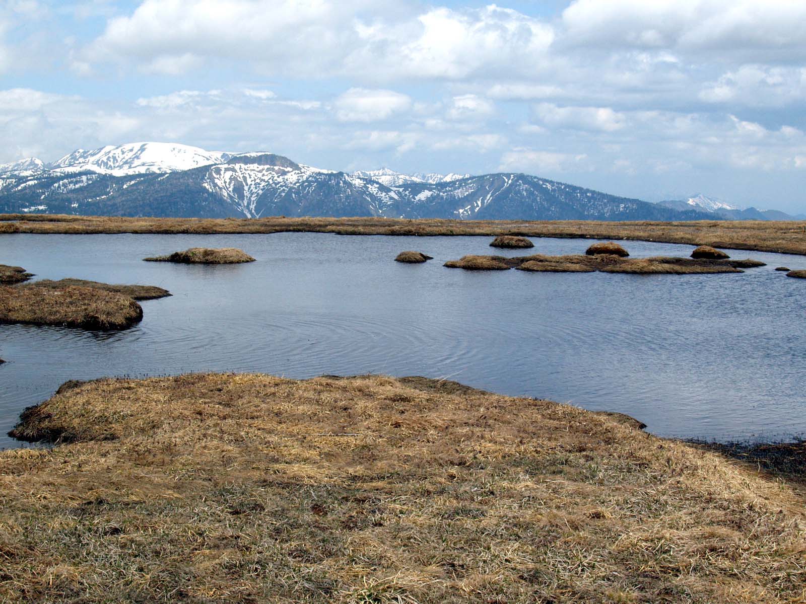 アヤメ平から平ケ岳・景鶴山 