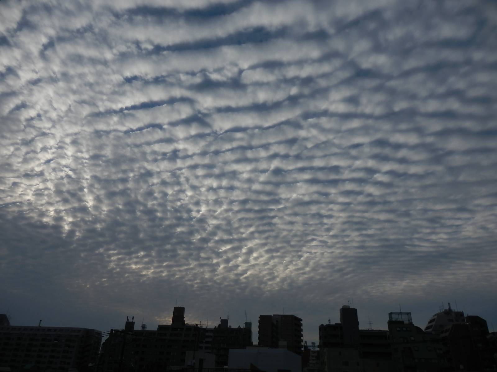 波状雲